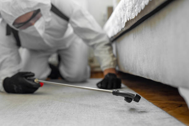 Professional Termite Control technician working in Longview Heights, WA